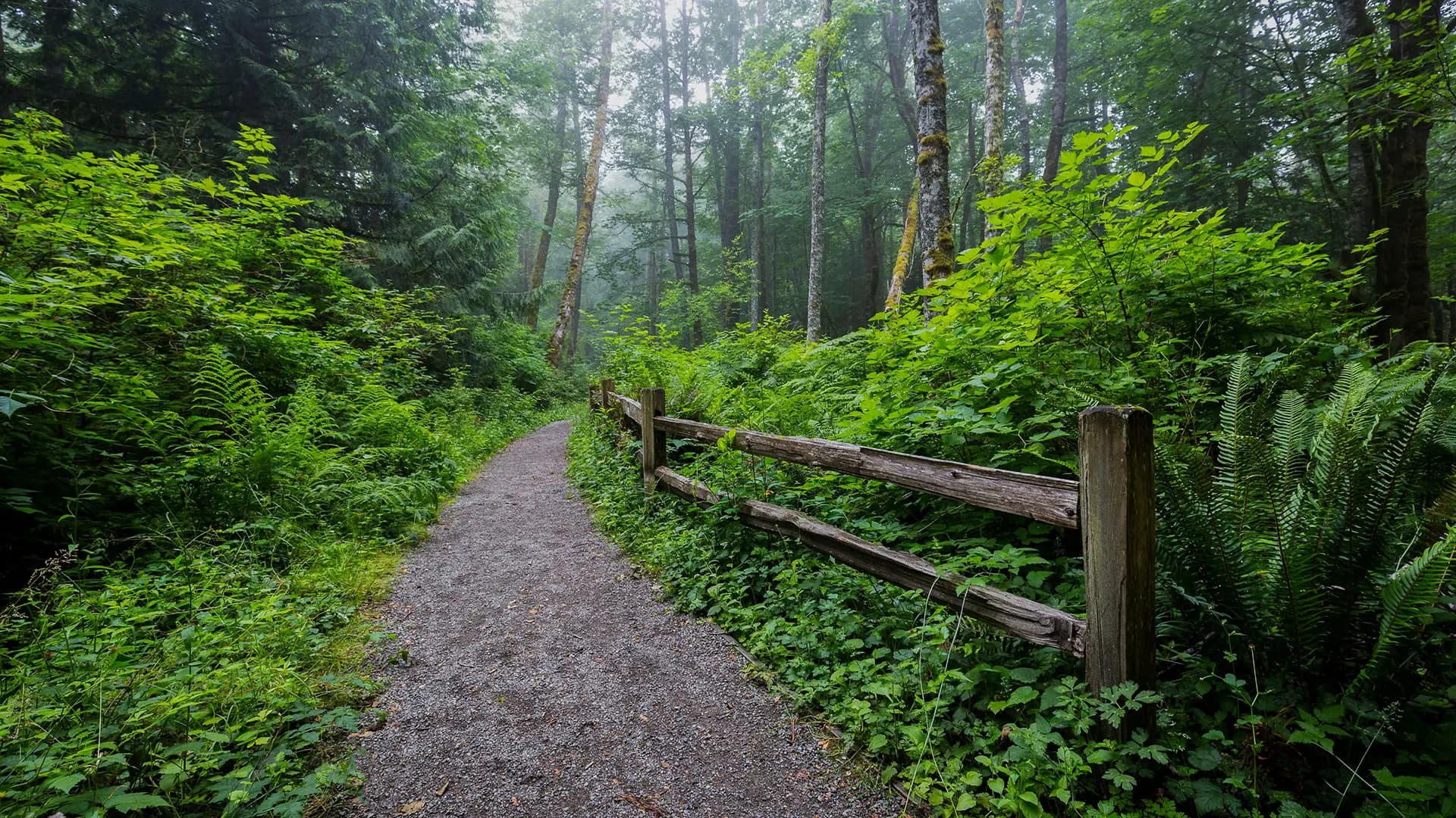 Issaquah, Washington landscape representing local tax law services